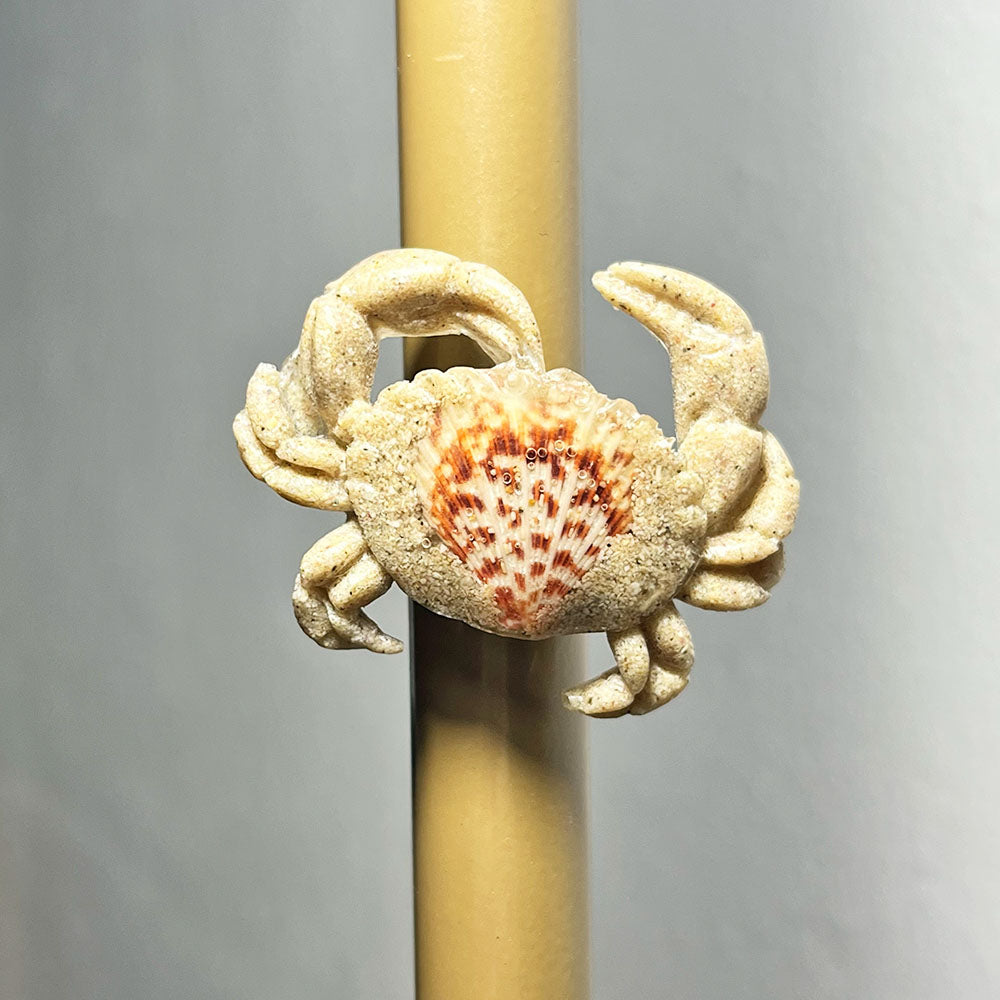 Lee's Art Studio sea shell and sand from Puerto Rico's beach crab resin magnet